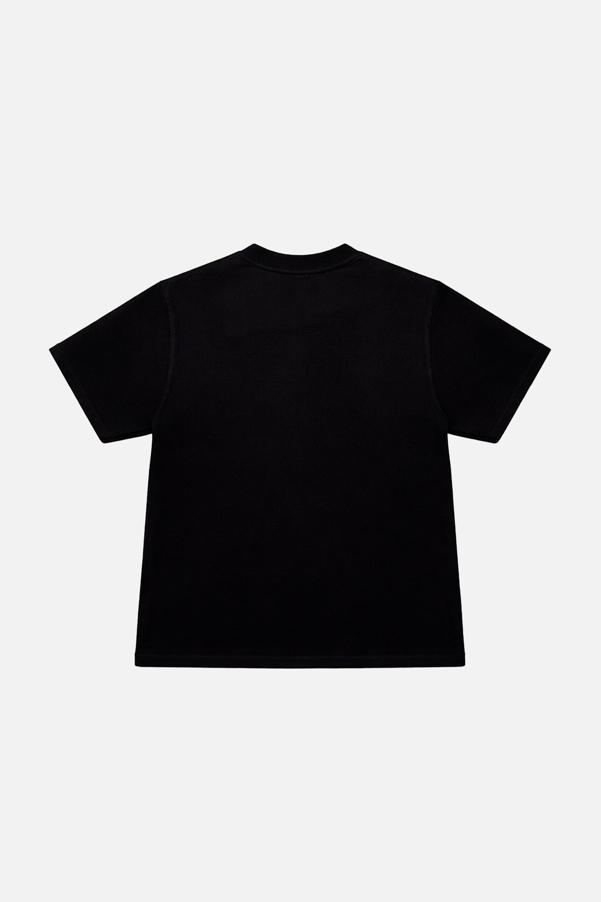Houston Voice T-Shirt W - Won Hundred Online Store