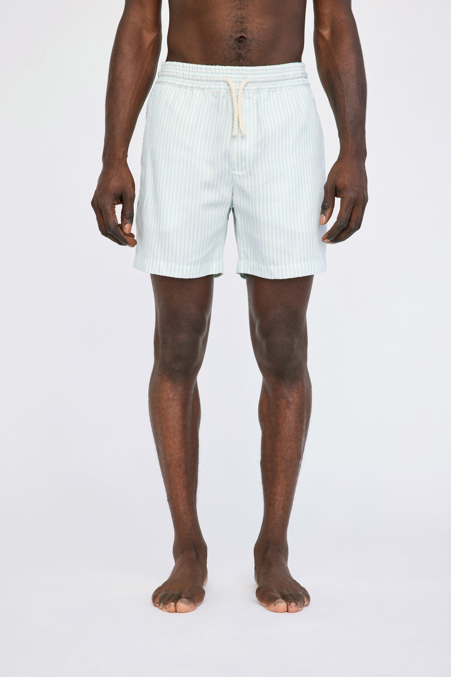 Won Hundred Men Ike Shorts Shorts Blue Surf Stripe