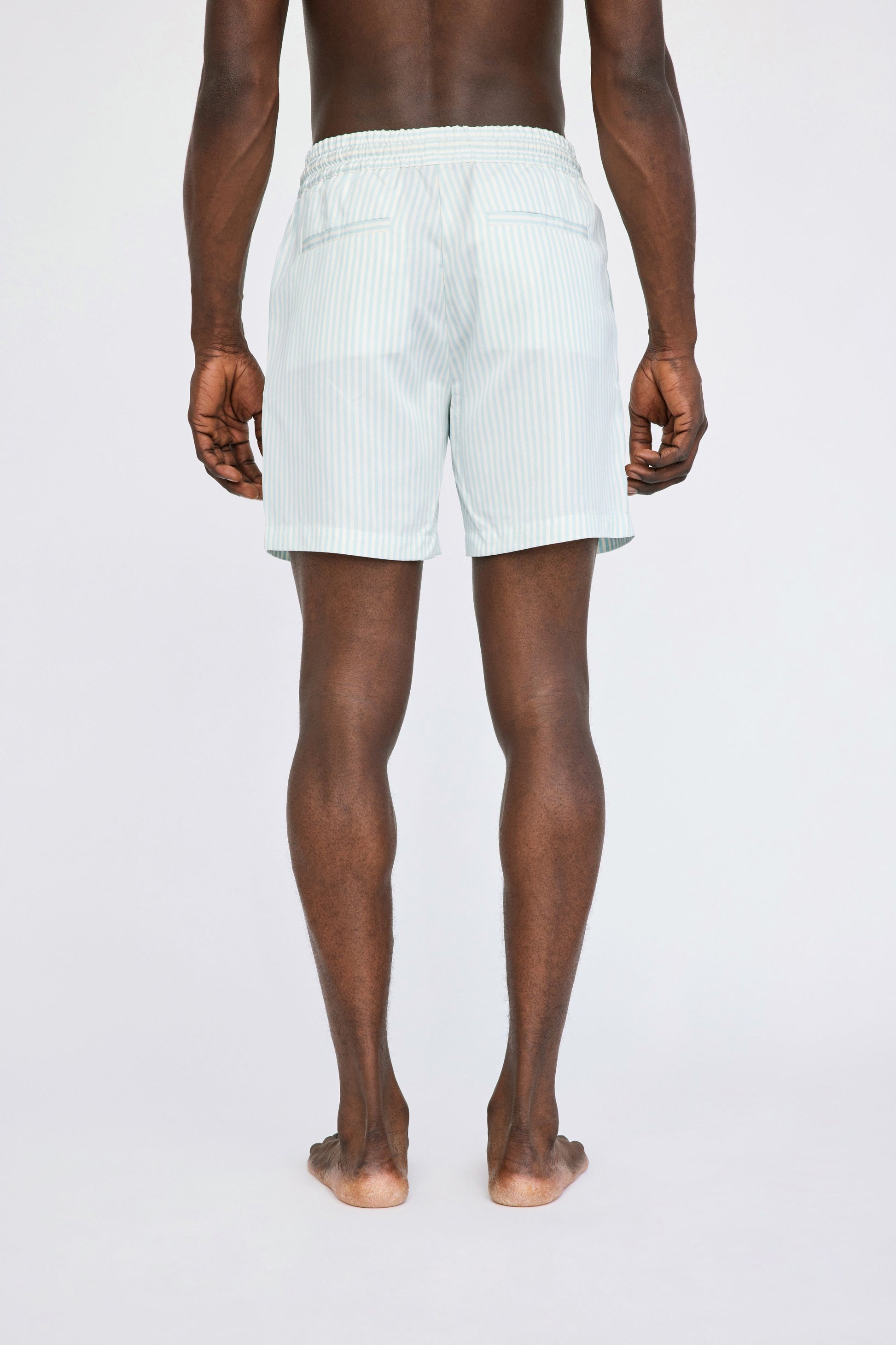 Won Hundred Men Ike Shorts Shorts Blue Surf Stripe